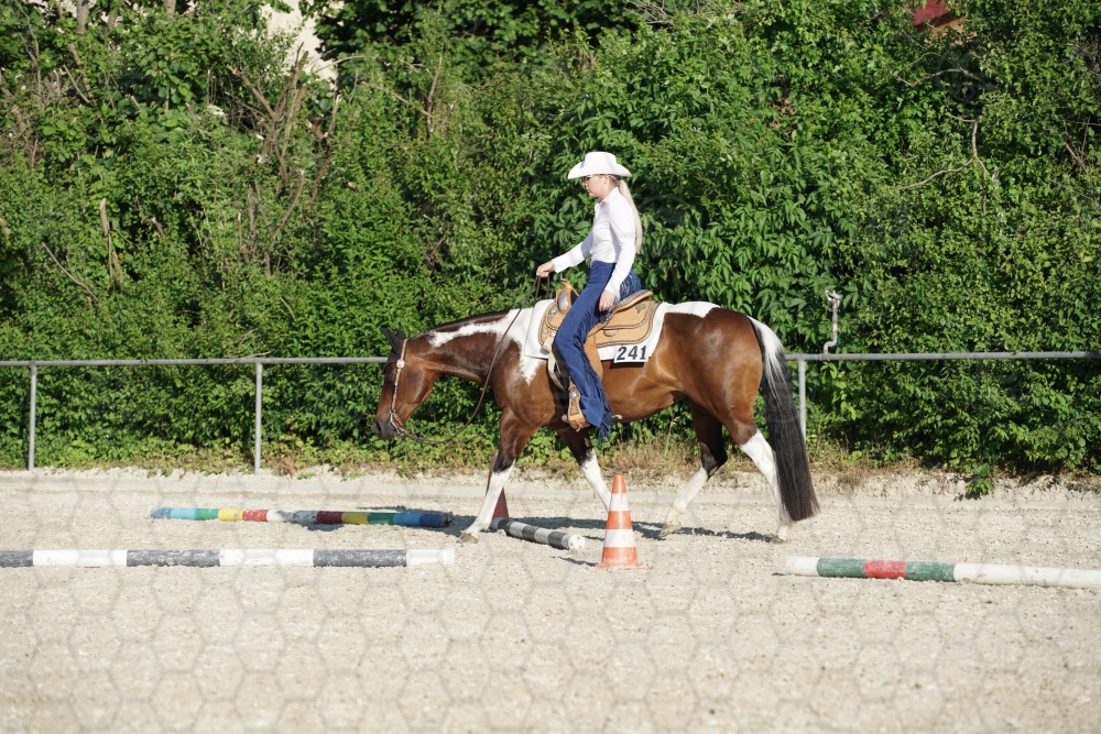 s_APF07138.jpg